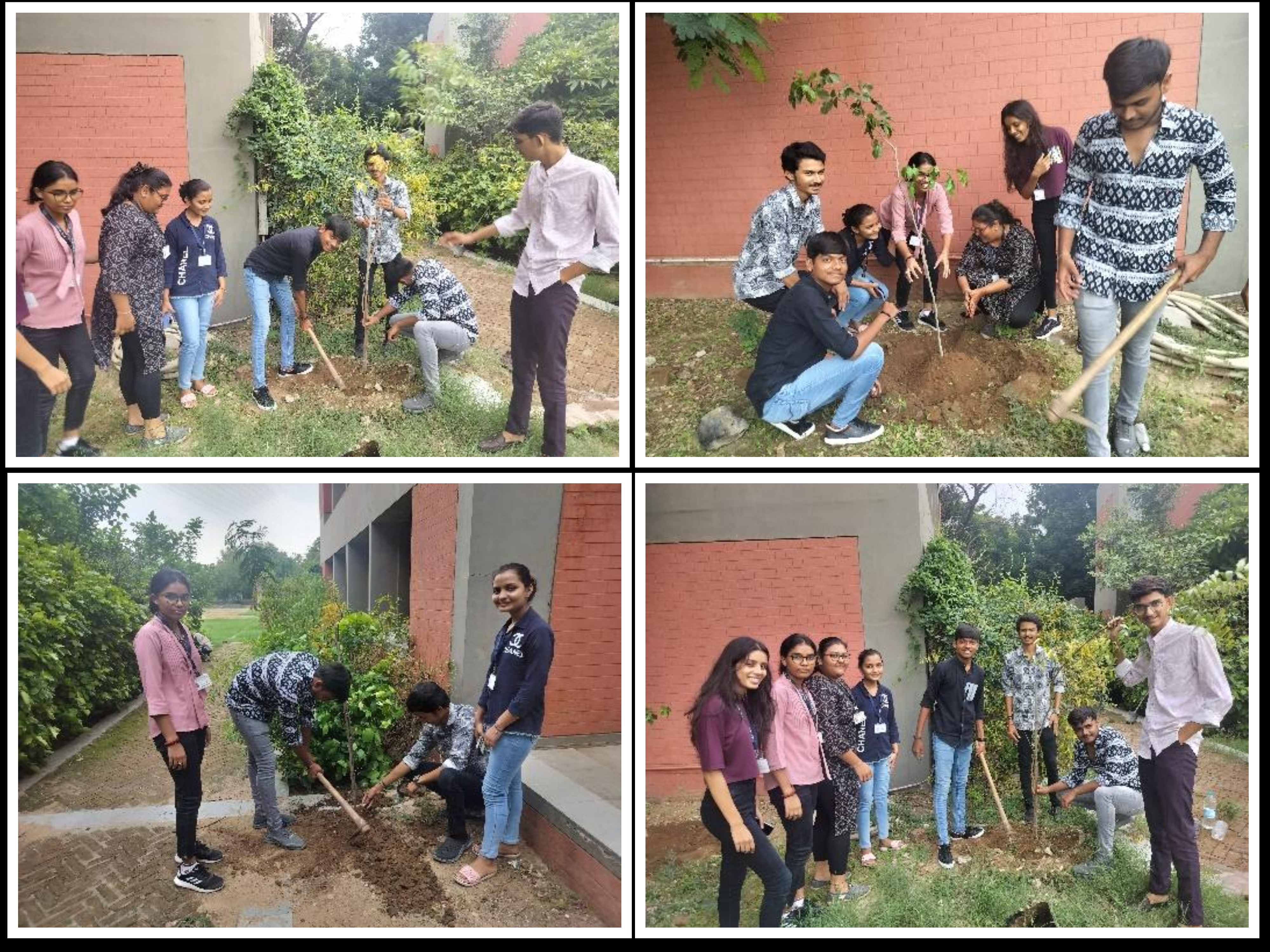 Under the campaign  "A tree the name of mother" tree plantation event